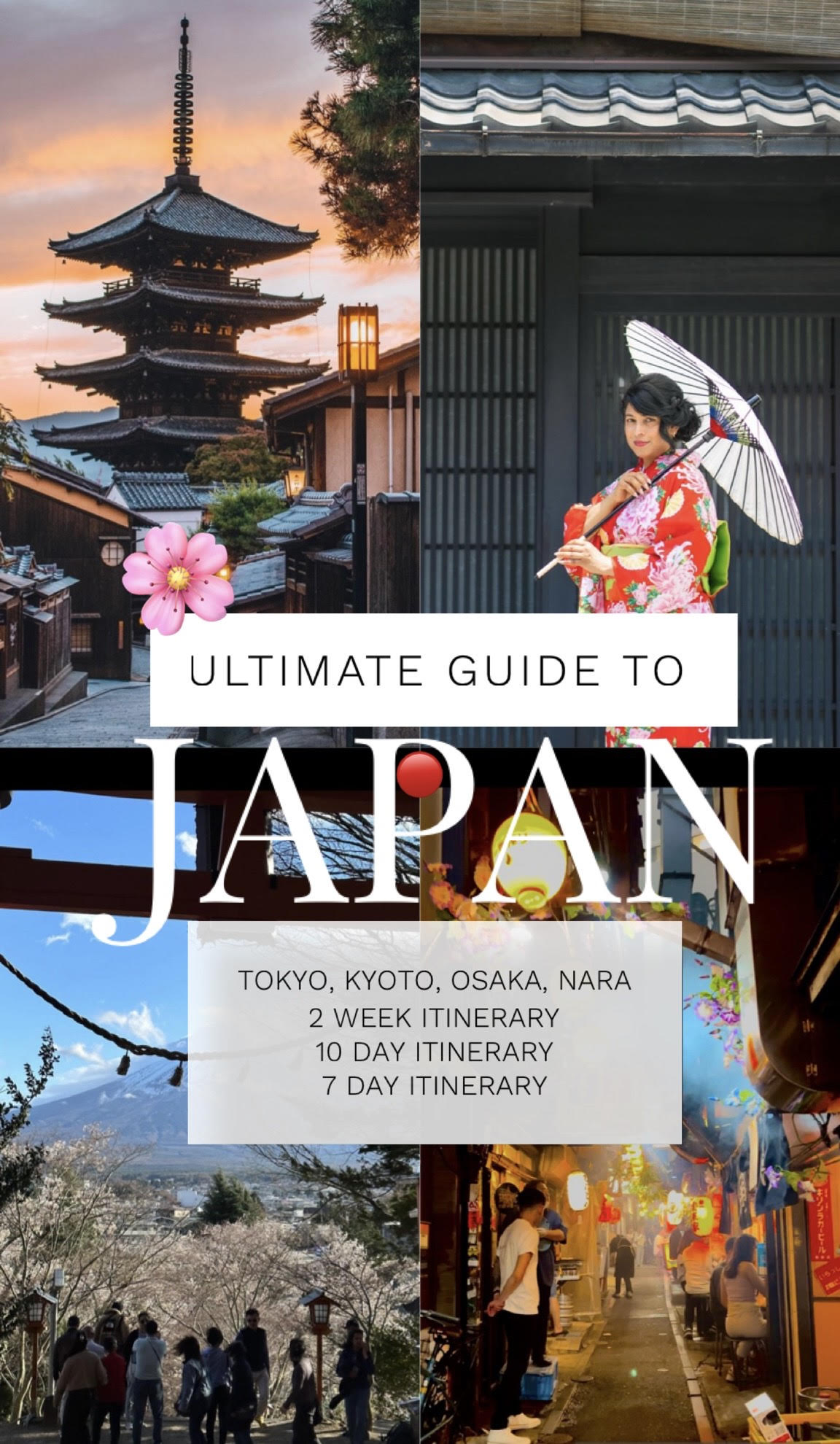 Exploring Japan: A Guide to the 22 Best Experiences for Fun Seekers - Food and Culinary Delights